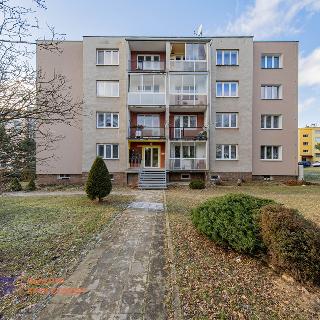 Prodej bytu 3+1 79 m²