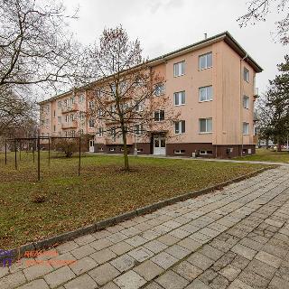 Prodej bytu 2+1 53 m² Olomouc, Norská