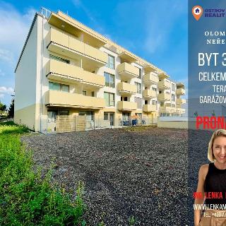 Pronájem bytu 3+kk 95 m² Olomouc, Frištenského