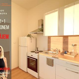 Pronájem bytu 1+1 31 m² Přerov, Dvořákova