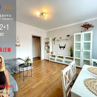 Pronájem bytu 2+1 43 m² Olomouc, Fischerova