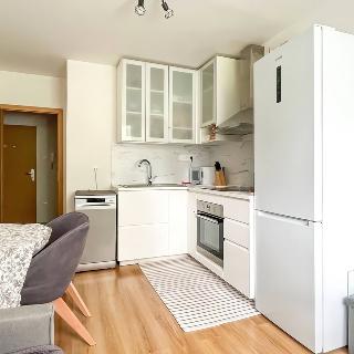 Pronájem bytu 2+kk 45 m² Praha, Hurbanova