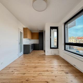 Pronájem bytu 2+kk 55 m² Praha, Závišova