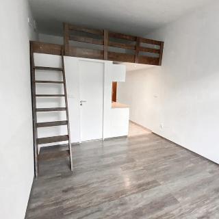 Pronájem bytu 1+kk a garsoniéry 20 m² Praha, Freyova