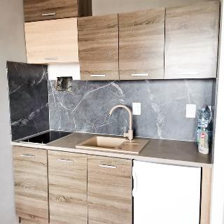 Pronájem bytu 1+kk a garsoniéry 25 m² Praha, Vavřenova