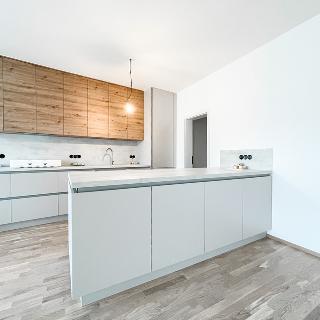 Pronájem bytu 4+kk 132 m² Praha, Breitfeldova