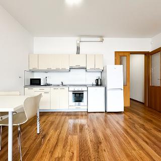 Pronájem bytu 2+kk 54 m² Praha, Křižíkova