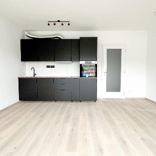 Pronájem bytu 1+kk a garsoniéry 35 m² Praha, Olgy Havlové