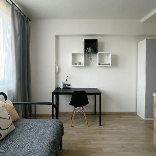 Prodej bytu 1+kk, garsoniery 17 m² Praha