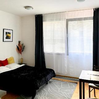 Pronájem bytu 1+kk a garsoniéry 30 m² Praha, Korunní