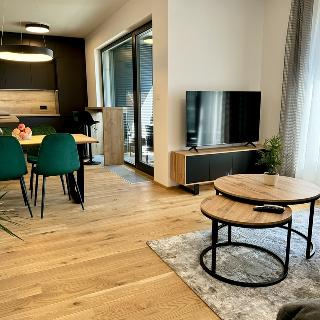 Pronájem bytu 2+kk 65 m² Praha, Sokolova