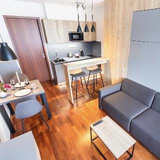 Pronájem bytu 1+kk a garsoniéry 33 m² Praha, Horská