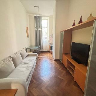 Pronájem bytu 1+1 48 m² Praha, Koubkova