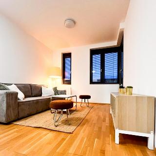 Pronájem bytu 2+kk 55 m² Praha, U průhonu