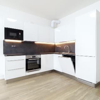 Pronájem bytu 2+kk 53 m² Praha, Hugo Haase