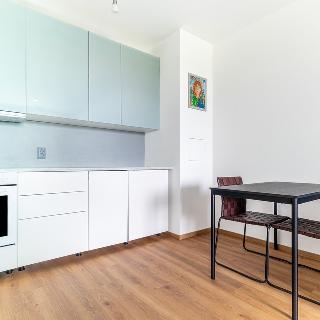 Pronájem bytu 2+kk 46 m² Praha, Olgy Havlové