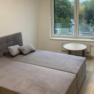 Pronájem bytu 3+kk 72 m² Praha, Nurmiho