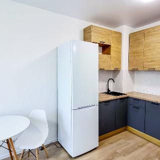 Prodej hotelu a penzionu 80 m² Praha, Litvínovská