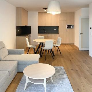 Pronájem bytu 2+kk 68 m² Praha, Ramonova