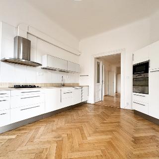 Pronájem bytu 4+kk 141 m² Praha, Janovského