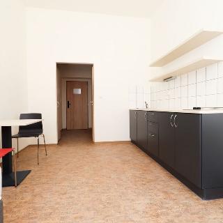 Pronájem bytu 1+kk a garsoniéry 24 m² Praha, Křížová