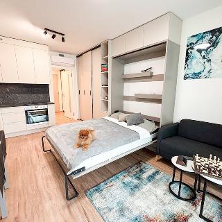 Pronájem bytu 1+kk a garsoniéry 37 m² Praha, Malešická