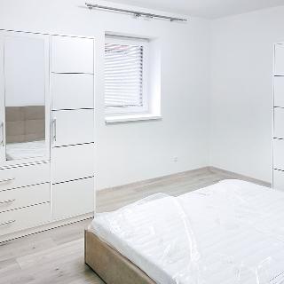 Pronájem bytu 3+kk 65 m² Praha, Nad olšinami