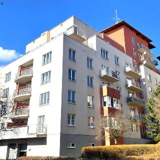 Pronájem bytu 2+kk 77 m² Praha, Velenovského