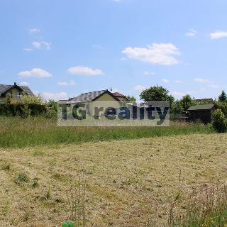 Prodej louky 1 330 m² Srubec, Dobrovodská