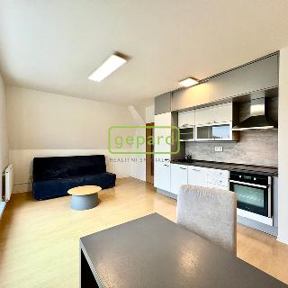 Pronájem bytu 2+kk 48 m² Praha, Račiněveská