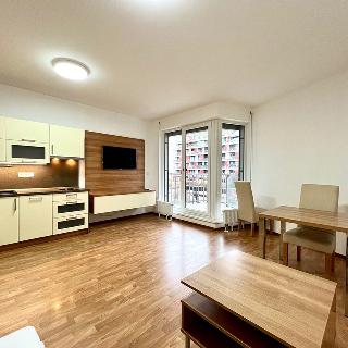 Pronájem bytu 1+kk a garsoniéry 41 m² Praha, Počernická