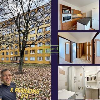 Pronájem bytu 3+1 56 m² Praha, Českolipská