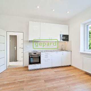 Prodej bytu 1+kk a garsoniéry 27 m² Libice nad Cidlinou, Mánesova