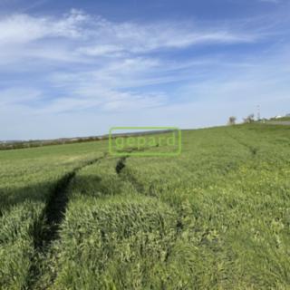 Prodej zemědělské půdy 5446 m&sup2; Brno