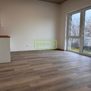 Pronájem bytu 1+kk, garsoniery 35 m² Brno