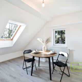 Pronájem bytu 1+kk a garsoniéry 27 m² Liberec XIII-Nové Pavlovice, Generála Svobody