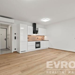 Prodej bytu 1+kk a garsoniéry 40 m² Praha Břevnov, U Petřin