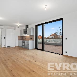 Prodej bytu 2+kk 68 m² Praha, U Petřin