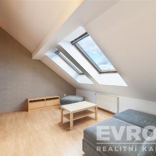 Pronájem bytu 1+1 40 m² Praha