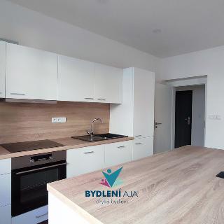 Pronájem bytu 3+kk 68 m² Teplice, Ruská