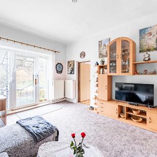 Prodej bytu 3+1 84 m² Řehenice, Doly