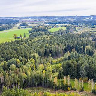 Prodej lesa 2232 m&sup2; Všeradov