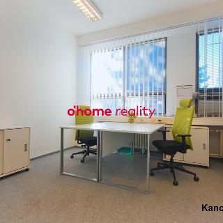 Pronájem kanceláře 42 m² Olomouc, Sokolovská