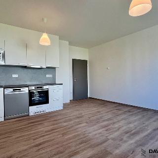 Pronájem bytu 2+kk 52 m² Nové Město na Moravě, Žďárská