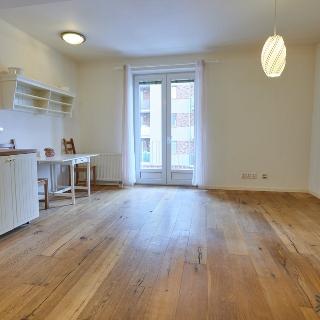 Prodej bytu 1+kk a garsoniéry 34 m² Brno, U Leskavy