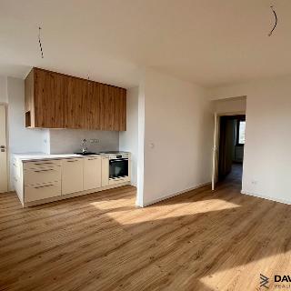 Pronájem bytu 3+kk 61 m² Rajhrad, Syrovická