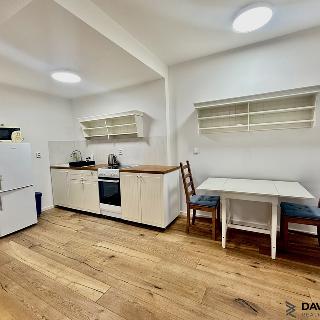 Pronájem bytu 1+kk a garsoniéry 34 m² Brno, U Leskavy