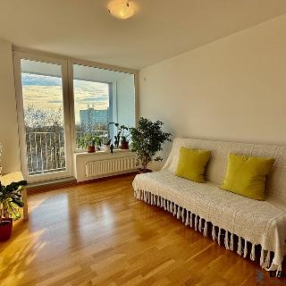 Pronájem bytu 2+kk 55 m² Brno, Axmanova