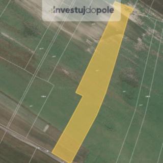 Prodej zemědělské půdy 6314 m&sup2; Sudovo Hlavno