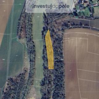 Prodej louky 1 041 m² Přistoupim